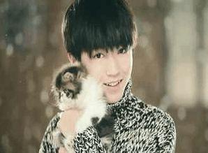 娱乐圈吃瓜爆料吴磊热巴,吃瓜群众热议不已